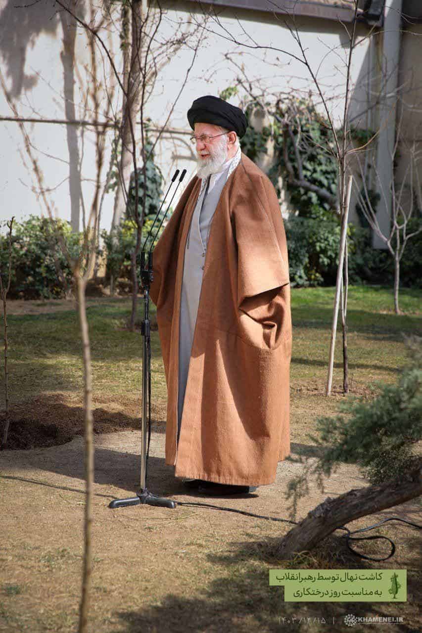 نهضت درختکاری
